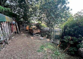 area esterna - Terreno agricolo Via Bazziola, Monteviale - foto 15