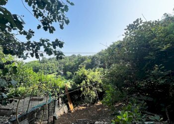 area esterna - Terreno agricolo Via Bazziola, Monteviale - foto 16