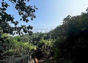 area esterna - Terreno agricolo Via Bazziola, Monteviale - foto 18