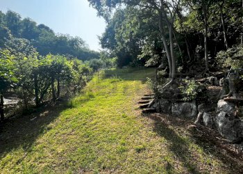 uliveto - Terreno agricolo Via Bazziola, Monteviale - foto 19