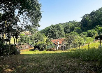 uliveto - Terreno agricolo Via Bazziola, Monteviale - foto 21