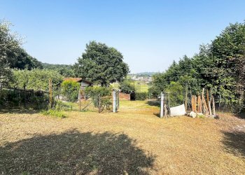 uliveto - Terreno agricolo Via Bazziola, Monteviale - foto 22