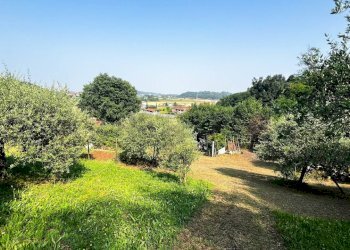 uliveto - Terreno agricolo Via Bazziola, Monteviale - foto 28
