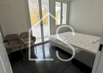 117631.jpg - Bilocale Bologna - foto 1