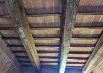 20240711_150151.jpg - Casale FRONTIGNANO, Todi - foto 26