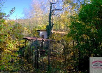 Rif 1847(Copy59).jpg - Casa indipendente Urbe - foto 16