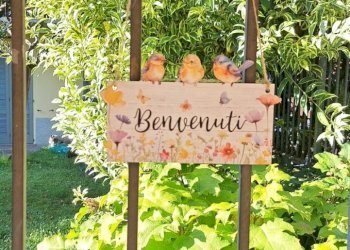 2985d223-deb0-4b41-a4b1-8d8150577e55.JPG - Non Alimentare via fermi, Treviglio - foto 5