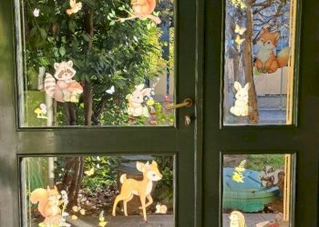 40a3149d-42d7-42e3-b315-1063ab0b7974.JPG - Non Alimentare via fermi, Treviglio - foto 7