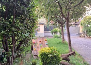 ee531a34-785f-40c2-8819-7b4e627b9743.JPG - Non Alimentare via fermi, Treviglio - foto 15