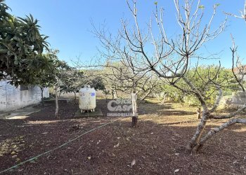 Independent house Contrada San Giuseppe Tafalia, Marsala - photo 12