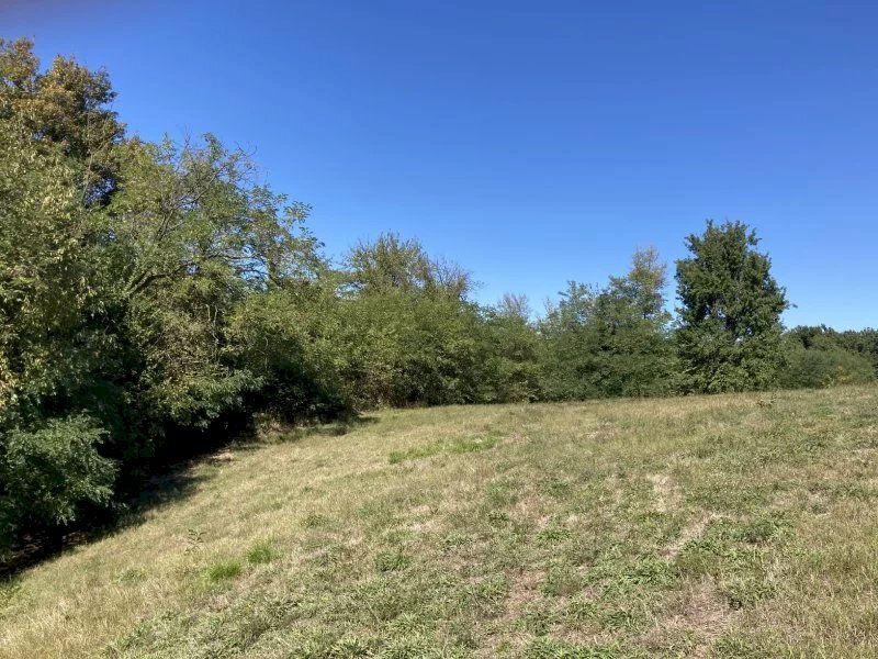 Terreno agricolo Mondovì - foto 2