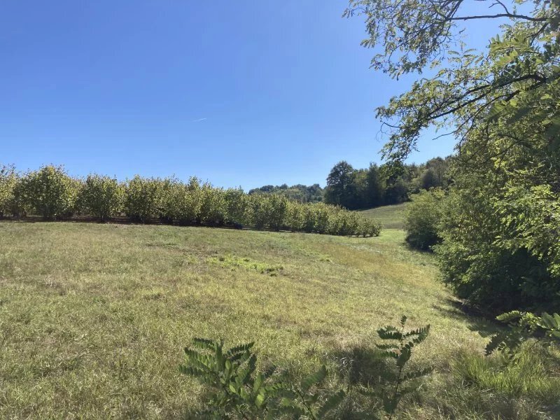 Terreno agricolo Mondovì - foto 3