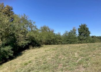 Terreno agricolo Mondovì - foto 2