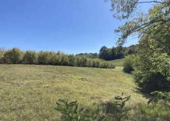 Terreno agricolo Mondovì - foto 3