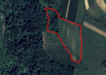 Terreno agricolo Mondovì - foto 4