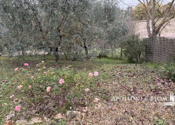 Terratetto - Terracielo Strada di Monteriggioni, 3, Monteriggioni - foto 26