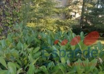 Quadrilocale Pianoro - foto 6