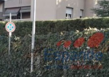 Quadrilocale Pianoro - foto 9