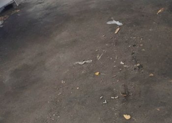 Capannone Via Livingstone 33, Modena - foto 5