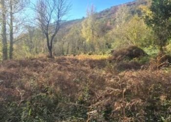 Terreno agricolo via Ciorani, Mercato San Severino - foto 1