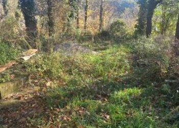 Terreno agricolo via Ciorani, Mercato San Severino - foto 2