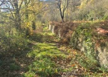 Terreno agricolo via Ciorani, Mercato San Severino - foto 3