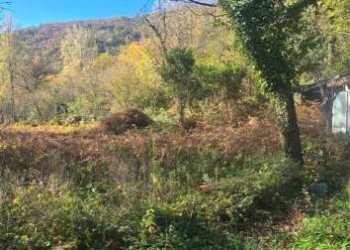 Terreno agricolo via Ciorani, Mercato San Severino - foto 4