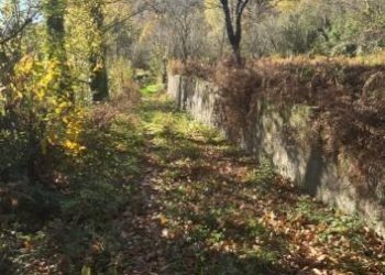 Terreno agricolo via Ciorani, Mercato San Severino - foto 7