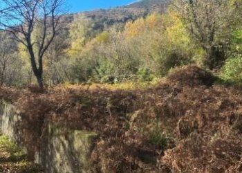 Terreno agricolo via Ciorani, Mercato San Severino - foto 8