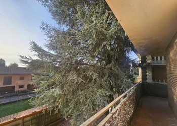 Foto 6 - Trilocale Via Adua, Vedano Olona - foto 6