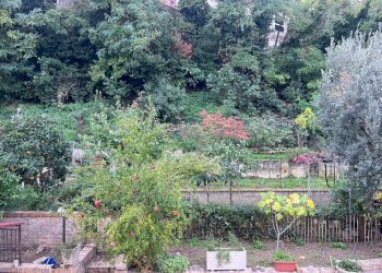 Foto 24 - Quadrilocale Via dei Saponari, Chieti - foto 24