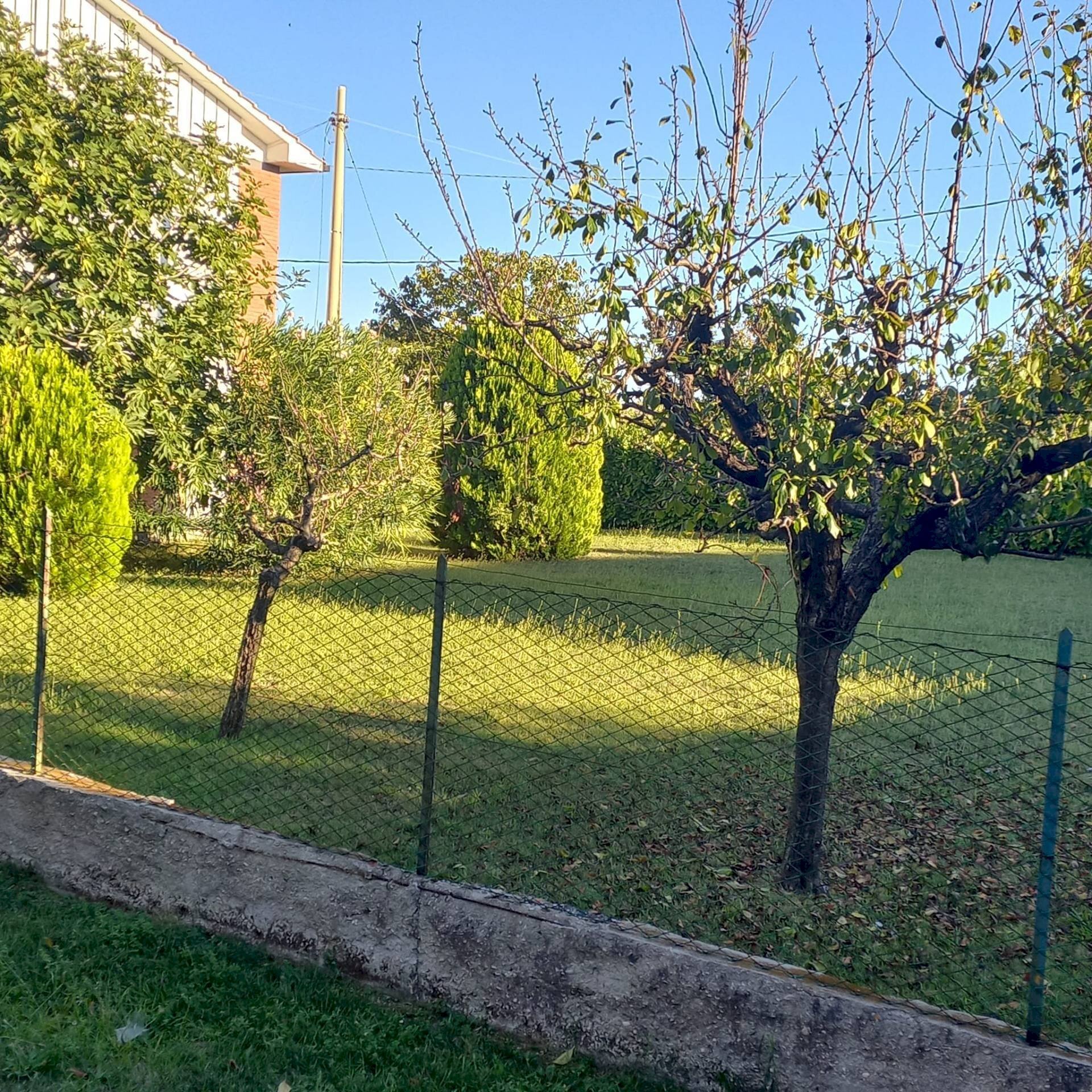 Foto 3 - Terreno edificabile via della Pace, Falerone - foto 3