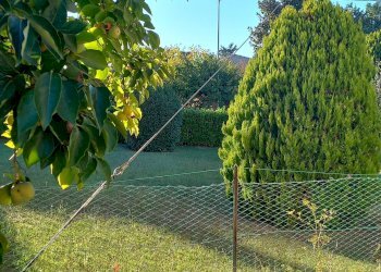 Foto 6 - Terreno edificabile via della Pace, Falerone - foto 6