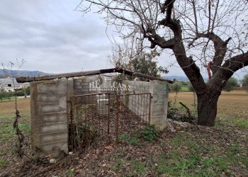 Foto 12 - Casa indipendente contrada coste tronto
 
snc, Controguerra - foto 12