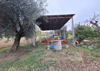 Foto 13 - Casa indipendente contrada coste tronto
 
snc, Controguerra - foto 13