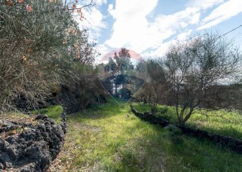 Giardino - Terreno edificabile via dei papaveri
sn, Mascalucia - foto 7
