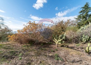 Giardino - Terreno edificabile via dei papaveri
sn, Mascalucia - foto 13