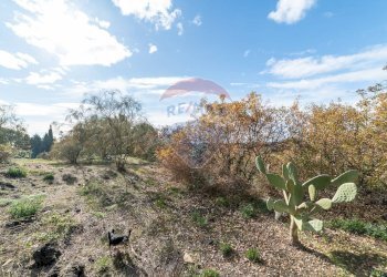Giardino - Terreno edificabile via dei papaveri
sn, Mascalucia - foto 14