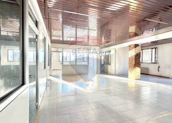 Ricezione / Lobby - Ufficio Osimo - foto 11