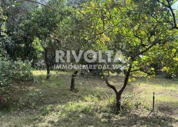 Foto 18 - Villa via Flacca, Sperlonga - foto 18