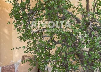 Foto 27 - Villa via Flacca, Sperlonga - foto 27