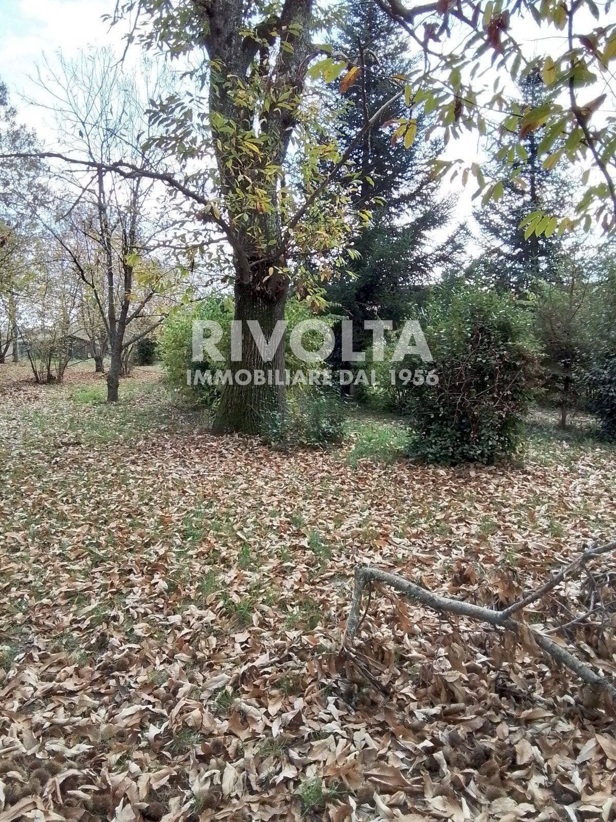 Foto 2 - Villa via madonna delle grazie, Canepina - foto 2
