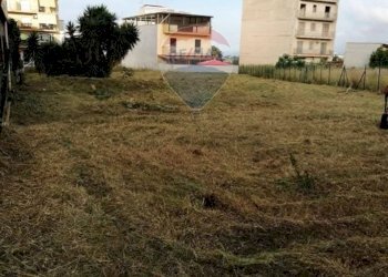 Giardino - Terreno edificabile Via Senna
Snc, Bagheria - foto 6