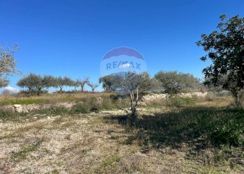 Giardino - Casa indipendente contrada San Giacomo
 
snc, Ragusa - foto 41