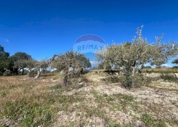 Non correlato - Casa indipendente contrada San Giacomo
 
snc, Ragusa - foto 42
