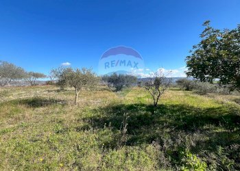 Non correlato - Casa indipendente contrada San Giacomo
 
snc, Ragusa - foto 43