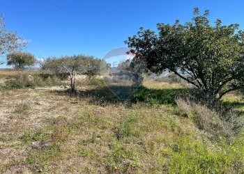 Giardino - Casa indipendente contrada San Giacomo
 
snc, Ragusa - foto 45