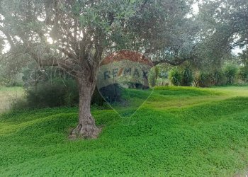 Giardino - Rustico contrada deserto, Comiso - foto 9