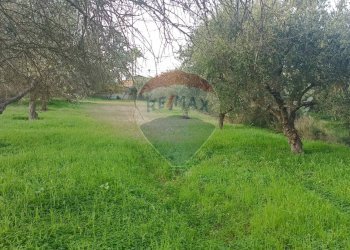 Giardino - Rustico contrada deserto, Comiso - foto 11