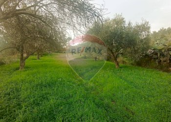 Giardino - Rustico contrada deserto, Comiso - foto 12